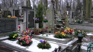 Художник вае картини с прах от кремирани хора