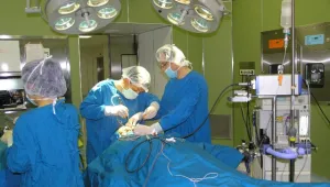 Одобрявате ли възможността за  избор на екип в болниците срещу заплащане