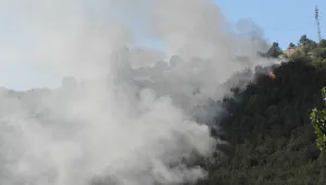 Пожар горя в Сливенския Балкан