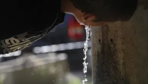 Пъстърви ще контролират качеството на питейната вода в София