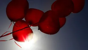 Над 72 хил. българи са починали от сърдечни заболявания за една година