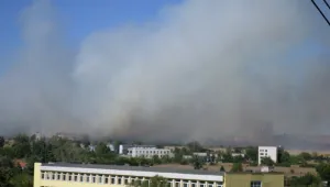 Пожарът в парк 