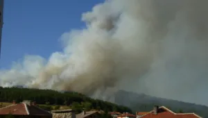 Горски пожар край Панагюрище