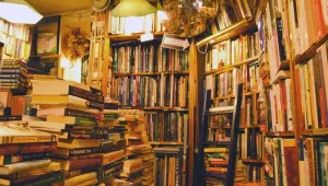 Книгите спасяват животи: Служители в книжарници получават коледен бонус от $300 000