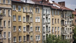 Преброяването през 2011 г. е некоректно, не сме 7,3 млн. души
