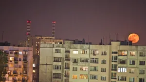 БАН: Българският етнос не се топи