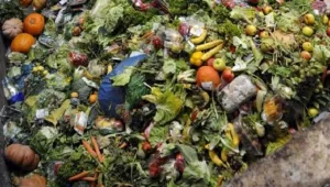 Ресторант сервира ястия от продукти, предназначени за боклука