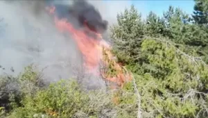 Голям пожар в близост до гоцеделчевското село Тешово
