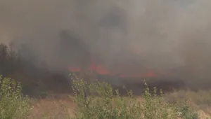 Военни се включиха в гасенето на пожара край Ивайловград
