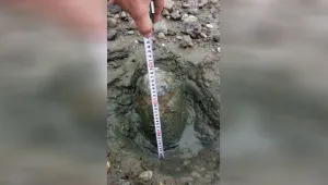 Военни обезвредиха артилерийски снаряд на видинския плаж