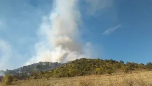 Голям пожар гори край Бобошево