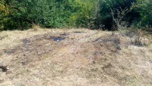 Колата, с която е отвлечен Адриан, е билa с полицейска лампа (ОБЗОР)