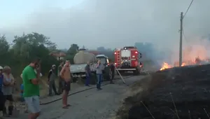 Пожарът в Ямболско е овладян