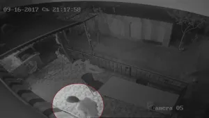 Поредна нагла кражба в столицата