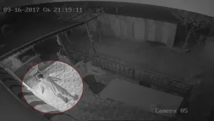 Младеж с присъди и десетки регистрации заподозрян за наглата кражба в „Овча купел”
