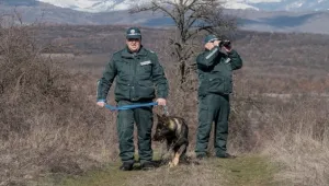 На първо четене: Граничните полицаи ще могат да разследват и във вътрешността на страната