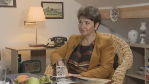 Меглена Плугчиева: Европа няма интерес Германия да е нестабилна
