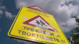 В навечерието на 15 септември: МВР с мащабна проверка в училищата