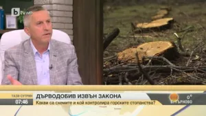 Кой контролира горските стопанства? 