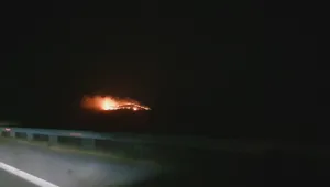 Пожар гори в района на АМ „Тракия”