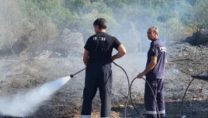 400 декара земя изгоряха край кърджалийското село Калинка