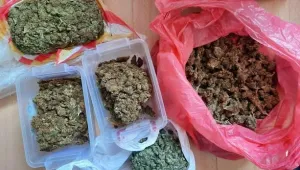 Полицията иззе близо килограм марихуана в София