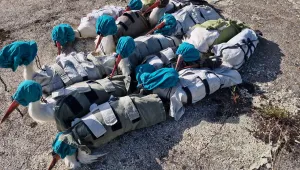 Над 20 спасени щъркели отново полетяха в небето