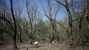 Война на дронове: При атаките безпилотен апарат падна и се взриви в Румъния