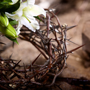 Разпети петък е най-тъжният ден - всяко същество страда