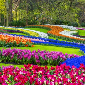 10 великолепни градини по света, които трябва да посетите поне веднъж в живота си (СНИМКИ)