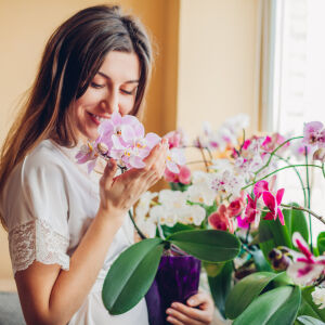 Орхидея – как се отглежда водно за по-обилен цъфтеж (СНИМКИ)