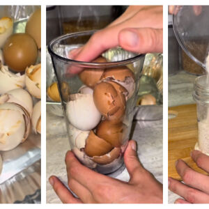 Яйчените черупки - здраве за организма и ползи за дома