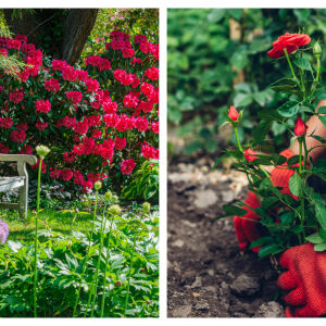  Как да направим малкия двор да изглежда по-просторен – с 2 лесни трика