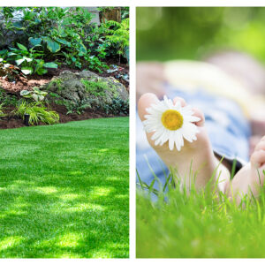 Как да постигнем перфектната градинска морава – със семена или чим