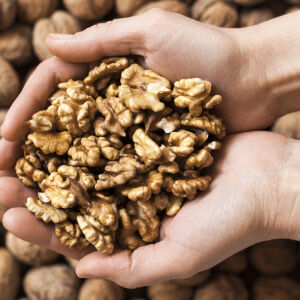 Шепа орехи на ден гарантират добър сън 