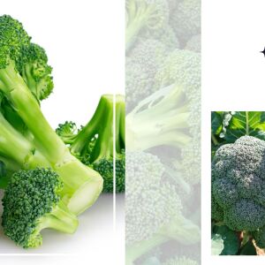 Броколите - витаминозна бомба за дълголетие и здравословна бременност (ВИДЕО)