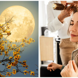 Ето кога да се подстригваме косата си според лунния календар