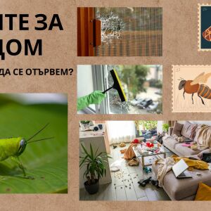 Скакалци в градината - как да се отървем 