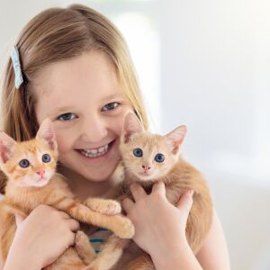5 породи котки, които могат да помогнат със стреса при учениците (СНИМКИ)