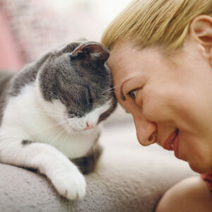 17 неща, които котките не понасят (ВИДЕО)