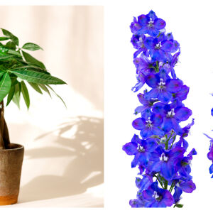 Вече е ясно кое е растението и цветето на 2026 - символи на късмет, пари и ново начало