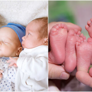 Истински джакпот: Тризнаци се родиха с шанс 1 на 200 милиона (СНИМКИ)