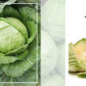 Ядете ли достатъчно зеле? 5 причини да присъства по-често в менюто ви