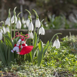 Мартеници - защо ги носим, поверия и традиции за Баба Марта (СНИМКИ)