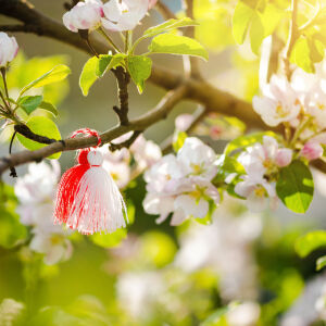 Мартеницата - докога се носи? (СНИМКИ + ВИДЕО)