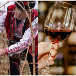 На Трифон Зарезан не се дават и вземат пари назаем! Всички поверия за празника (ВИДЕО)