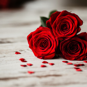 Ергенът напуска сезона, защото се е влюбил!