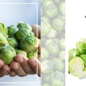 Подценяваната зимна суперхрана, която трябва да ядете по-често (ВИДЕО)