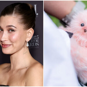 Лабубу вече е история: Запознайте се с Мируми! (СНИМКИ)