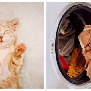 10-минутен трик в сушилнята спасява дрехите от косми на домашни любимци